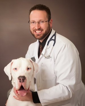 Dr. Casey J. Clark Dr. Casey J. Clark